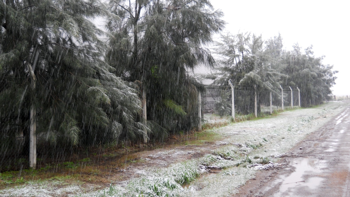 Foto de la nieve en María Juana el 1° de agosto de 2011. Foto de la nieve en María Juana el 1° de agosto de 2011.
