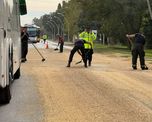 El derrame de soja ocupa al menos 400 metros de la Ruta 11 en Sauce Viejo. Bomberos y policías trabajan para retirar la carga y liberar el tránsito. El derrame de soja ocupa al menos 400 metros de la Ruta 11 en Sauce Viejo. Bomberos y policías trabajan para retirar la carga y liberar el tránsito.