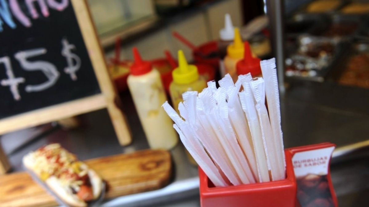 Impulsaron un programa de reducción y prohibición de plásticos de un solo uso