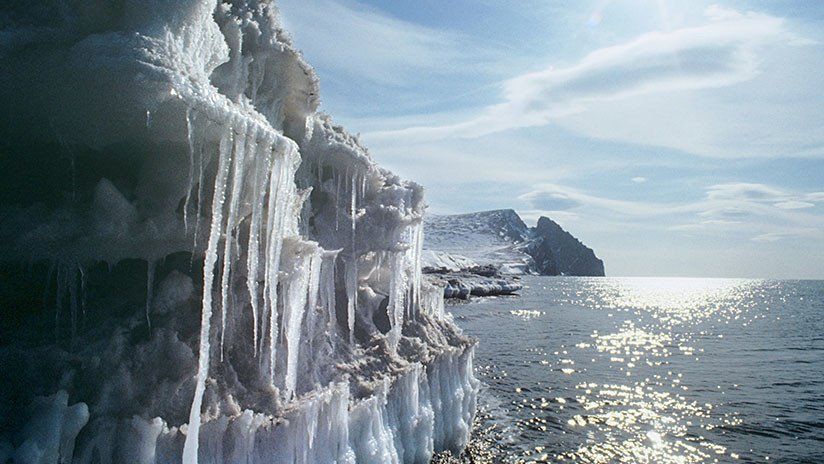 FOTOS: Reportan una invasión de ‘serpientes marinas mutantes’ en el Extremo Oriente ruso