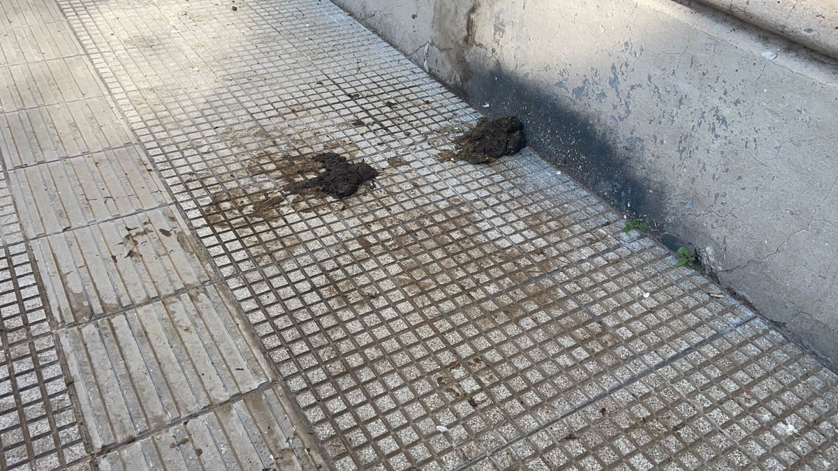 Así están actualmente las veredas alrededor de la Casa de Gobierno. Así están actualmente las veredas alrededor de la Casa de Gobierno.