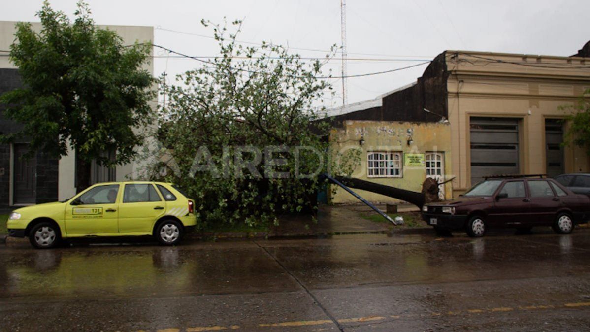 El toldo y el tapial de una remisería fueron aplastados por un árbol caído.