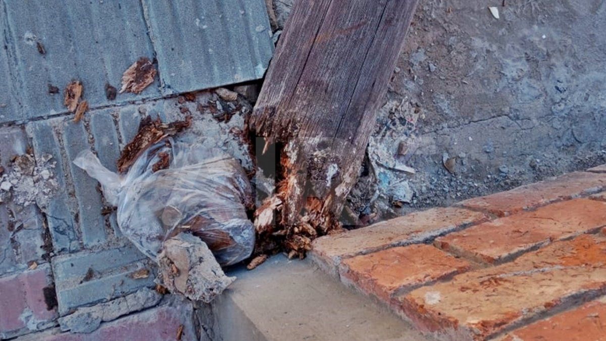 La foto muestra el mal estado de la base del poste que cayó sobre un auto en barrio María Selva, Santa Fe. 