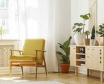 Las 3 plantas de interior ideales para tener en casa este invierno. Las 3 plantas de interior ideales para tener en casa este invierno.