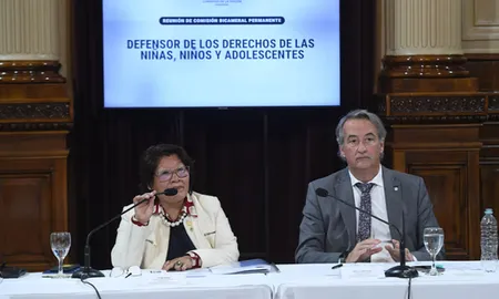 La nueva conducción de La Libertad Avanza de la comisión bicameral de los Derechos de las Niñas, Niños y Adolescentes dejó sin efecto el concurso público que había designado el año pasado a la abogada especializada en temas de género María Paz Bertero como defensora del Niño. La nueva conducción de La Libertad Avanza de la comisión bicameral de los Derechos de las Niñas, Niños y Adolescentes dejó sin efecto el concurso público que había designado el año pasado a la abogada especializada en temas de género María Paz Bertero como defensora del Niño.