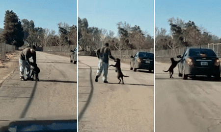 Lo grabaron abandonando a su perro y la reacción del animales desgarradora
