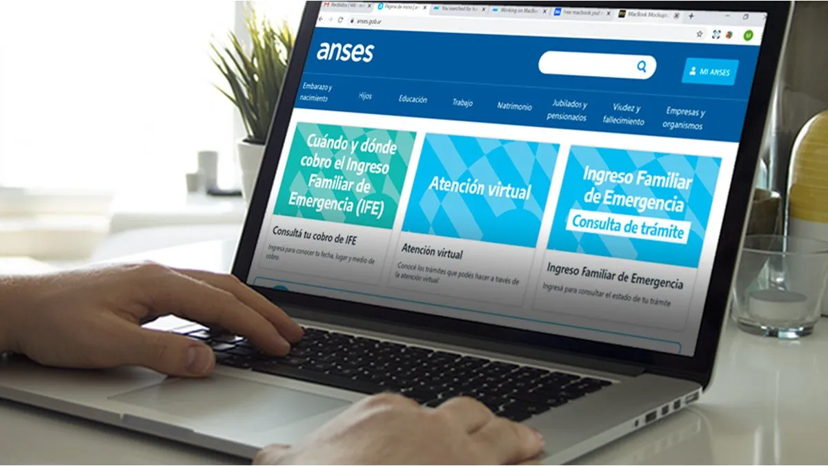 ANSES: qué trámites se pueden realizar online