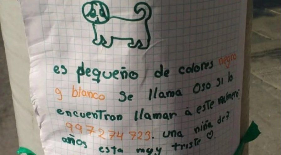 Perdió a su perro y el cartel que hizo para encontrarlo enterneció a todos en las redes sociales