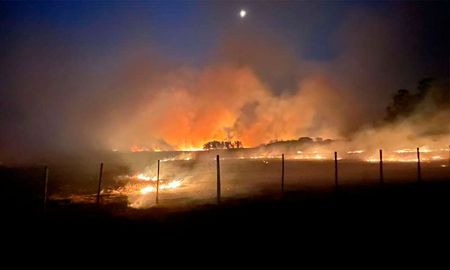 Más de 300 bomberos continúan combatiendo el fuego, con la colaboración de unidades de otras partes del país y de Brasil. Más de 300 bomberos continúan combatiendo el fuego, con la colaboración de unidades de otras partes del país y de Brasil.