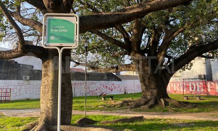 La plazoleta está bastante descuidada, aseguraron los vecinos a AIRE. La plazoleta está bastante descuidada, aseguraron los vecinos a AIRE.