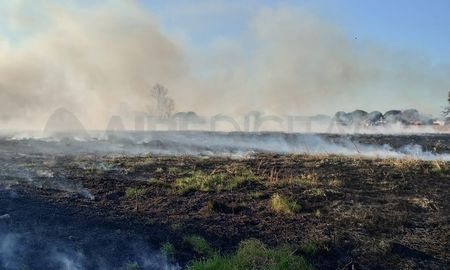Por los incendios de pastizales en Sauce Viejo hay un hombre detenido. Por los incendios de pastizales en Sauce Viejo hay un hombre detenido.