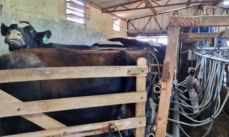 productores santafesinos hablan de destruccion de la rentabilidad en los tambos productores santafesinos hablan de destruccion de la rentabilidad en los tambos