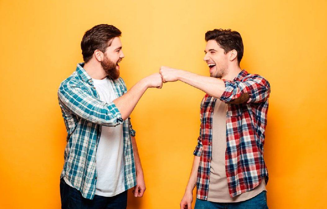 Quiénes son los mejores hermanos del zodiaco