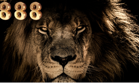 El portal 8.8.8 también es conocido como el portal del león. El portal 8.8.8 también es conocido como el portal del león.