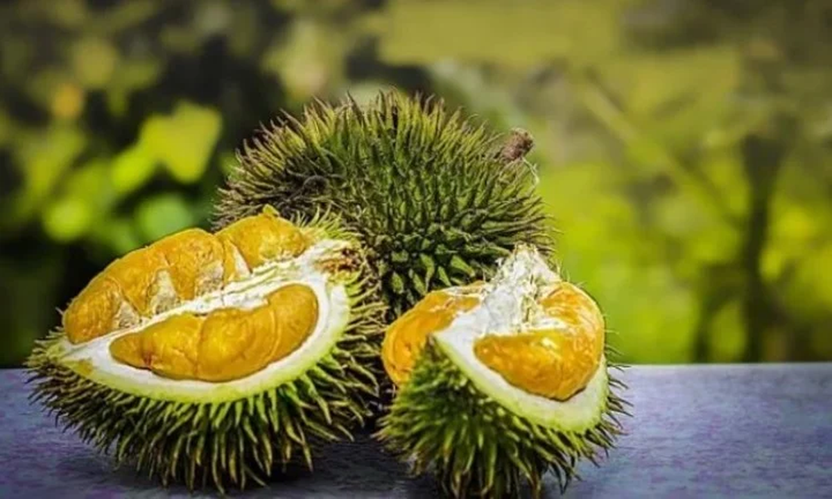 El avión regresó al aeropuerto por el mal olor que desprendía la fruta tropical durián en la bodega de carga. 