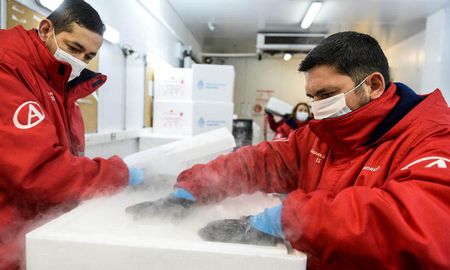 Comienza la distribución en todo el país de una nueva partida de primeras dosis de Sputnik V. Comienza la distribución en todo el país de una nueva partida de primeras dosis de Sputnik V.