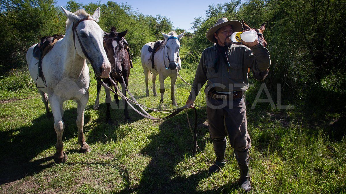 Rubén Blanco tiene distintos tipos de caballos, algunos muy mansos, para que todos puedan disfrutar de la cabalgata.