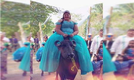 Una adolescente entró a su fiesta de 15 arriba de un búfalo y generó polémica en las redes: la acusaron de maltrato animal Una adolescente entró a su fiesta de 15 arriba de un búfalo y generó polémica en las redes: la acusaron de maltrato animal