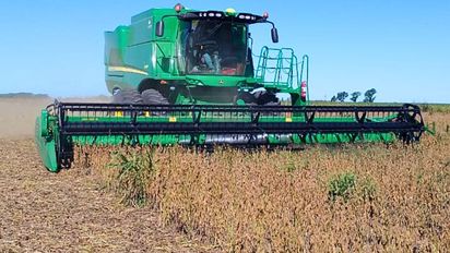 Comienza la cosecha de soja en Santa Fe con rendimientos afectados por la sequía