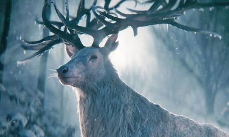 Sombra y hueso: la serie de Netflix que espera ser un éxito. Sombra y hueso: la serie de Netflix que espera ser un éxito.