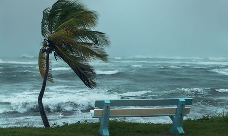 Elsa se moverá cerca de Jamaica y parte del este de Cuba, para el día domingo y podría llegar a Florida debilitada a partir del martes. Elsa se moverá cerca de Jamaica y parte del este de Cuba, para el día domingo y podría llegar a Florida debilitada a partir del martes.