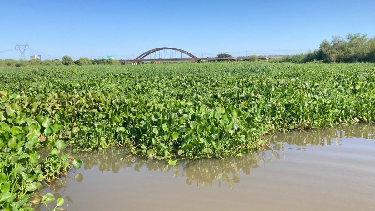 El vado no formará parte del recorrido de la Maratón Acuática Santa Fe–Coronda