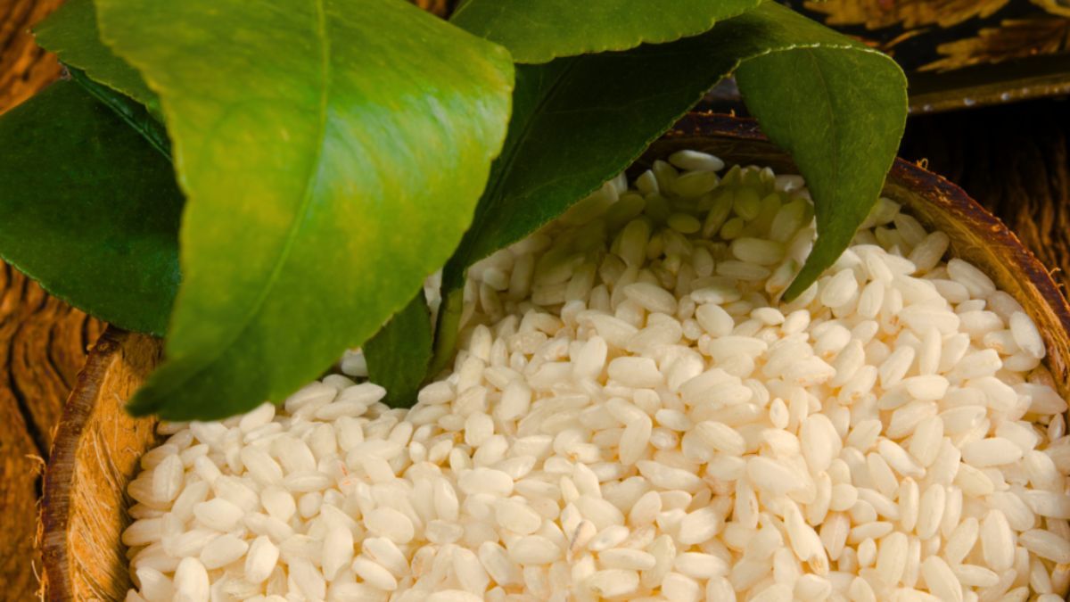 El arroz crudo en las macetas estimula microorganismos que fortalecen las raíces.