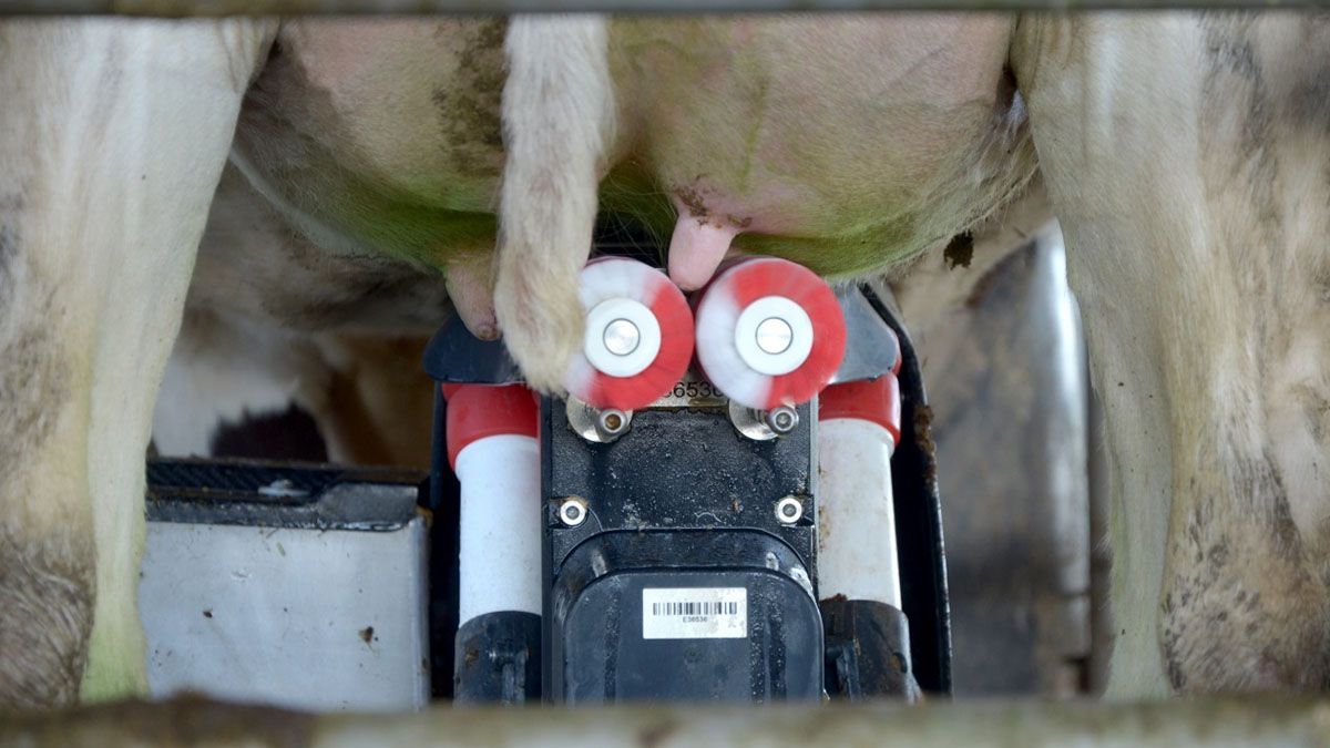 El financiamiento se canalizó a través de créditos con plazos de devolución de hasta 60 meses.