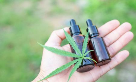 el concejo aprobo la reglamentacion del cannabis terapeutico en la ciudad el concejo aprobo la reglamentacion del cannabis terapeutico en la ciudad