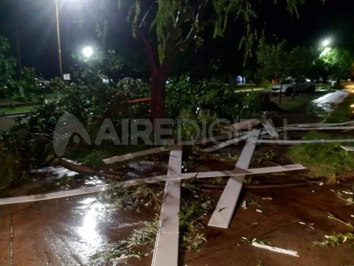 Fuerte temporal de viento en el norte provincial: hubo voladuras de techos y árboles caídos 