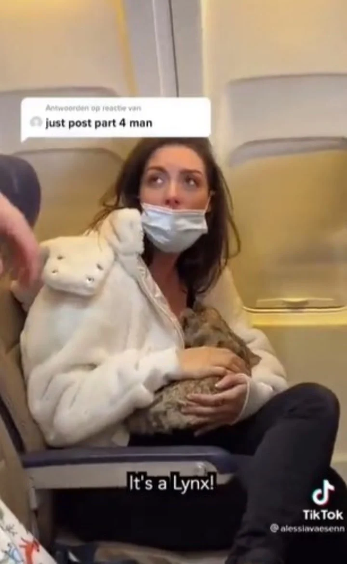 La mujer carga algo parecido a un gato. Foto: TikTok