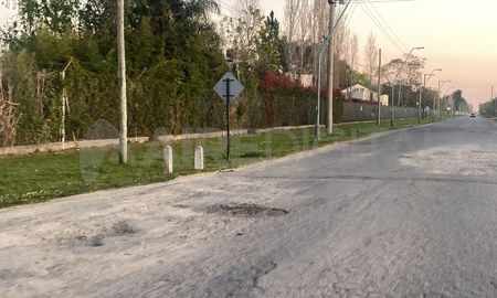 La colectora de la zona de La Tatenguita, intransitable por los baches. La colectora de la zona de La Tatenguita, intransitable por los baches.