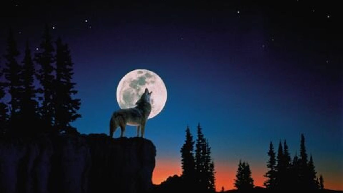 La Luna del Lobo es un evento astronómico cargado de significados: afectará a todos los signos del zodíaco. La Luna del Lobo es un evento astronómico cargado de significados: afectará a todos los signos del zodíaco.