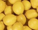 arribo a china un embarque de limones tucumanos listos para ser comercializados arribo a china un embarque de limones tucumanos listos para ser comercializados