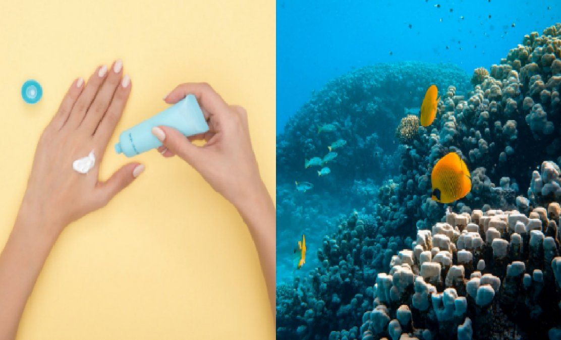 Tailandia prohíbe el uso de protectores solares con químicos para proteger a los arrecifes de coral