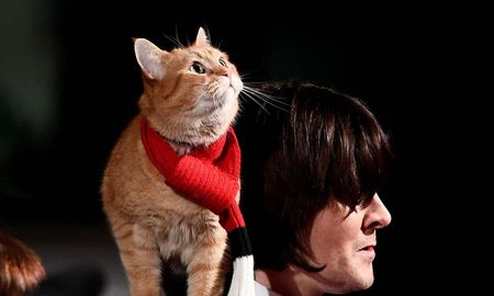 El gato Bob y su dueño, James Bowen, en el estreno de la película Un gato callejero llamado Bob en Londres, el 3 de noviembre de 2016 El gato Bob y su dueño, James Bowen, en el estreno de la película Un gato callejero llamado Bob en Londres, el 3 de noviembre de 2016