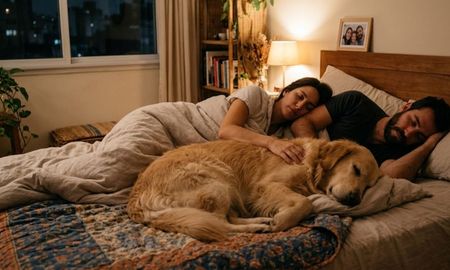 Dormir con tu mascota. Dormir con tu mascota.