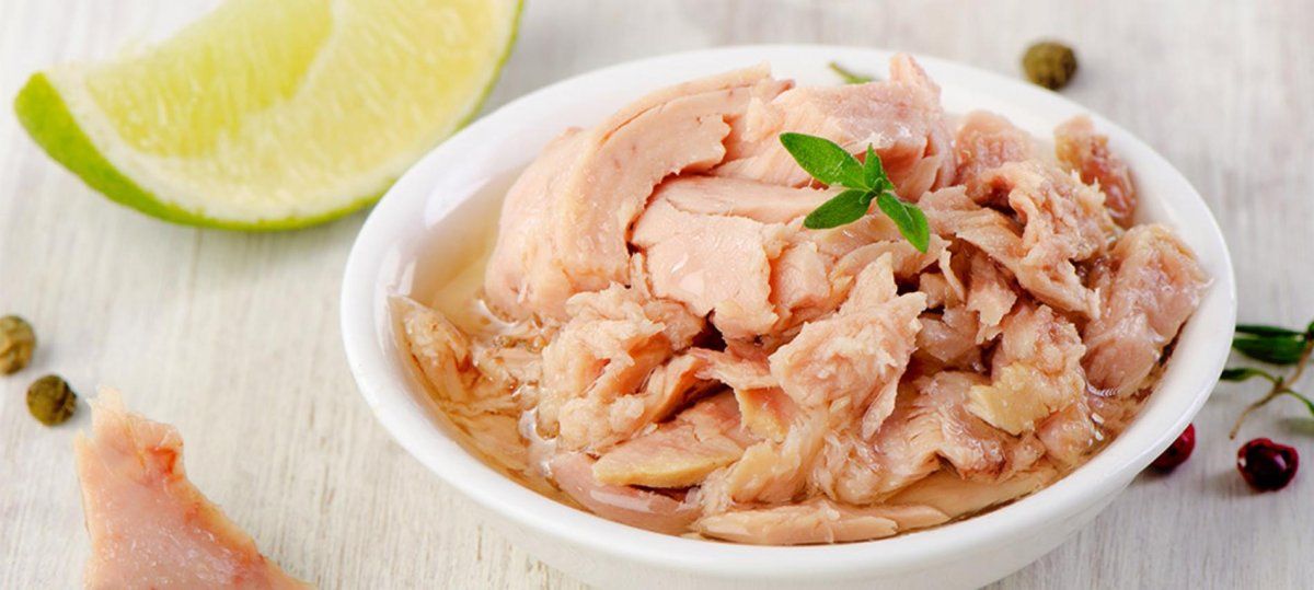 El atún es una fuente de proteínas bajo en calorías y grasas