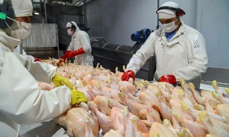 acuerdo ue?mercosur: la union agricola de avellaneda ve oportunidades y desafios para la avicultura santafesina acuerdo ue?mercosur: la union agricola de avellaneda ve oportunidades y desafios para la avicultura santafesina