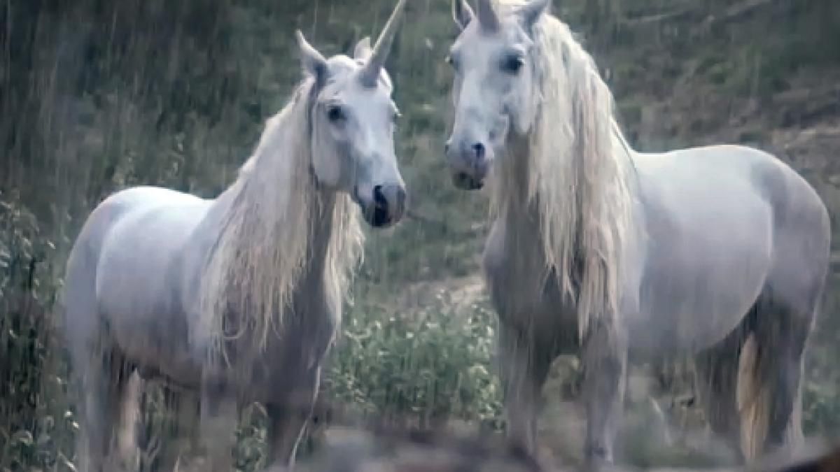 Los unicornios existieron y un f&oacute;sil lo demuestra.