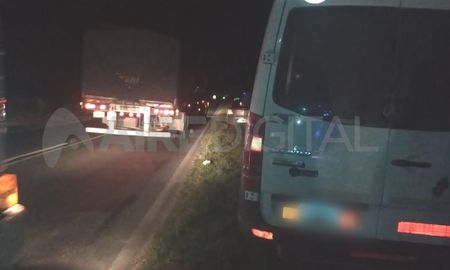 ruta 11: transitaba en un utilitario, choco una vaca y termino en la banquina ruta 11: transitaba en un utilitario, choco una vaca y termino en la banquina