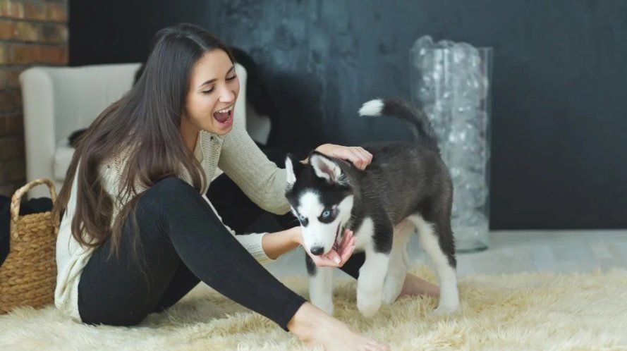 ¿Le hablás a los perros como si fueran bebés? La ciencia te da la razón