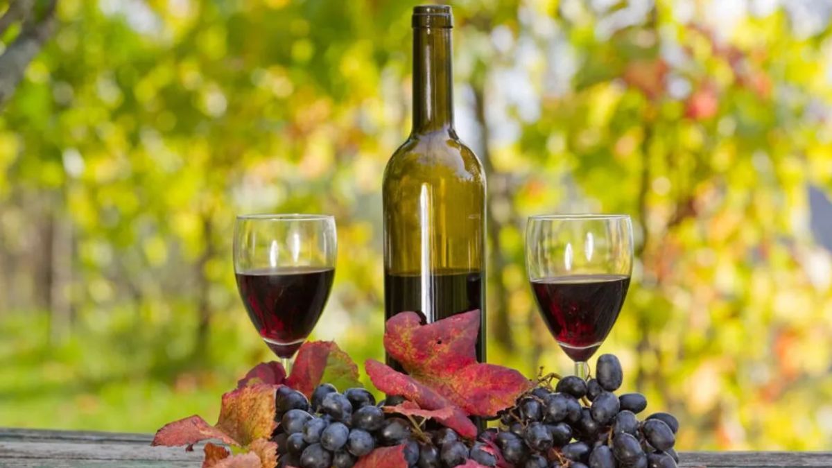 Entre Ríos llegó a ser la cuarta provincia productora de vino en Argentina hasta que en 1934 una ley nacional prohibió la actividad para favorecer a Cuyo.