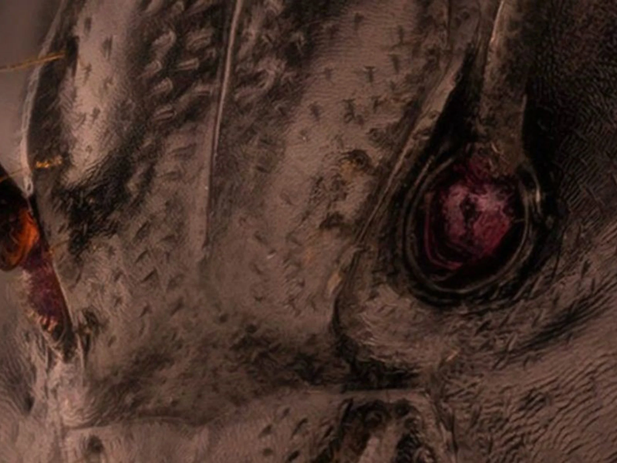 La aterradora foto viral del verdadero rostro de una hormiga que te cambiará la forma de ver a este insecto