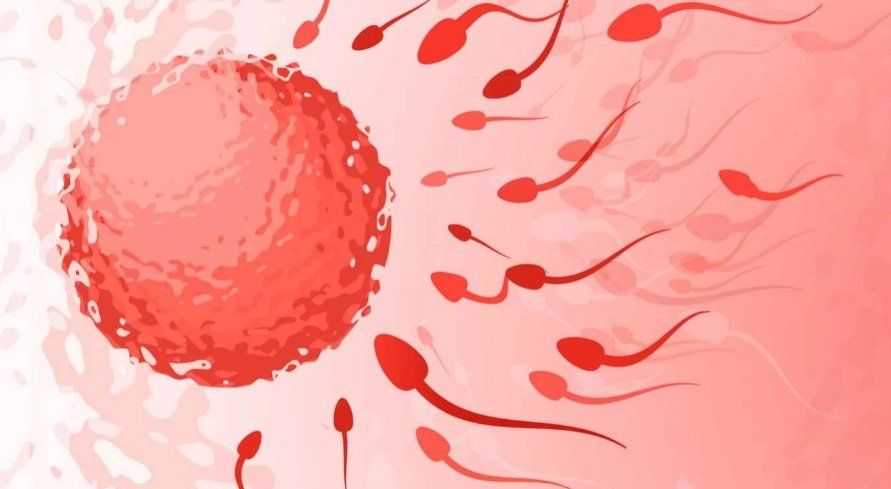 Qué son y cómo funcionan los kits de inseminación casera