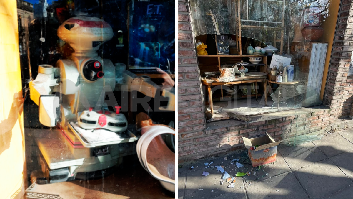 Robaron en una casa de antigüedades: se llevaron un robot de los 90 y un ciervo de bronce