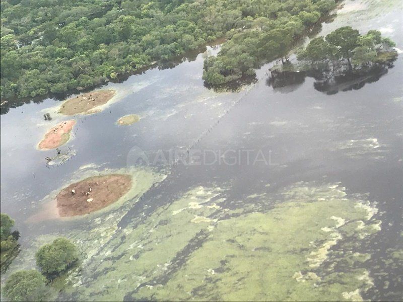 Sigue lloviendo en el norte de la provincia y la situación es cada vez más compleja