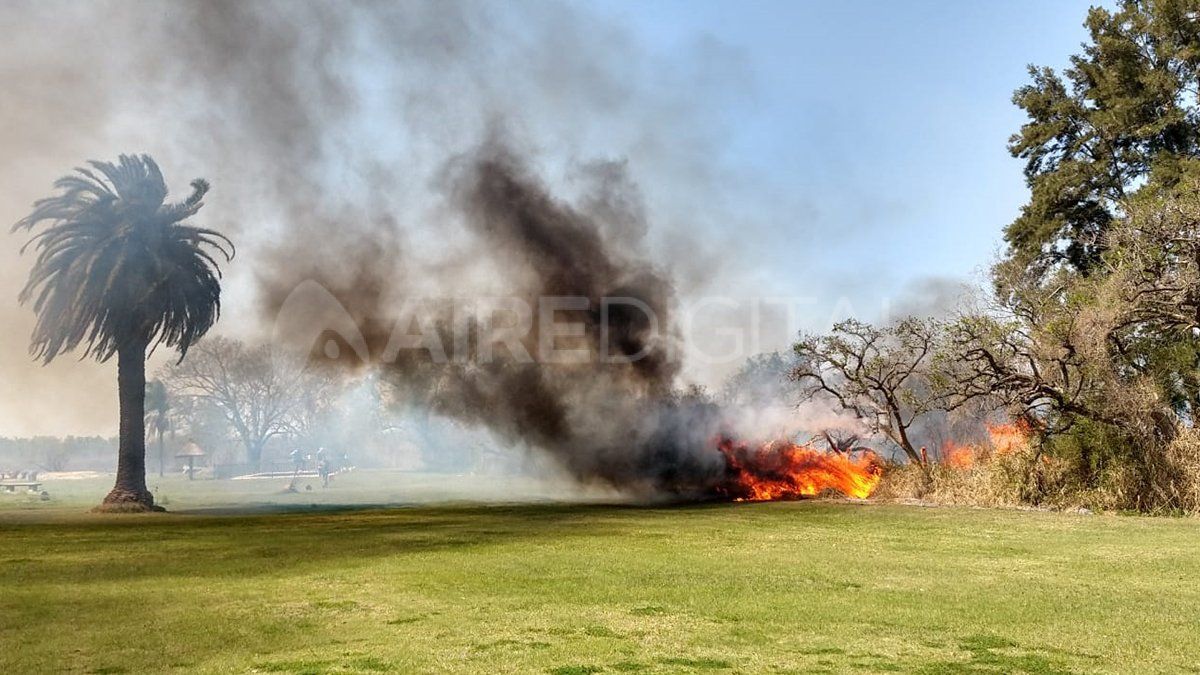 Las llamas se propagaron sobre un terreno pegado a las viviendas de la calle Eucaliptos.