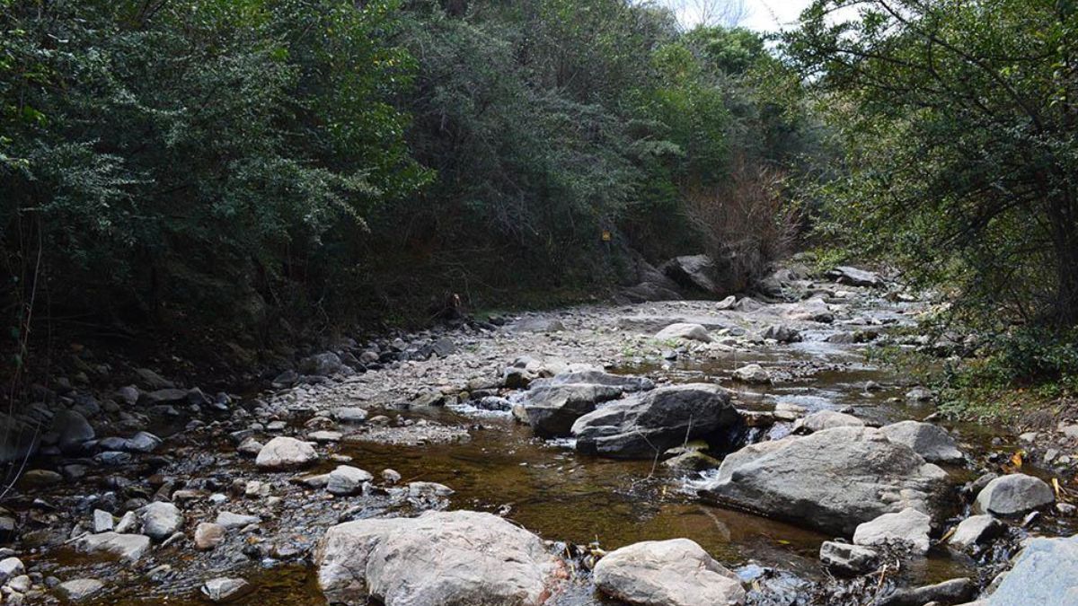Este destino está pensado exclusivamente para los amantes de la naturaleza y las actividades al aire libre. Este destino está pensado exclusivamente para los amantes de la naturaleza y las actividades al aire libre.