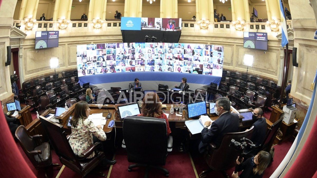 Primera sesi&oacute;n virtual del Senado de la Naci&oacute;n por la pandemia.